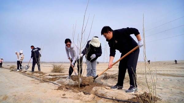 1774338710915013.jpg 2 (1).jpg