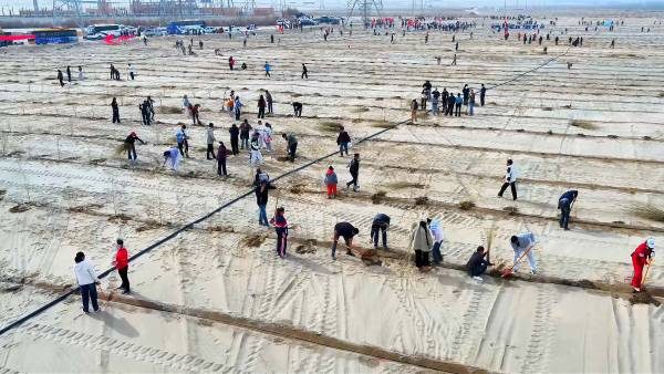 1774338726190322.jpg 1 (1).jpg