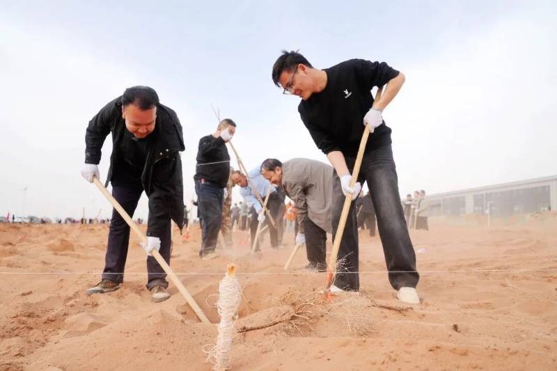 1774409189249253.jpg 8.jpg