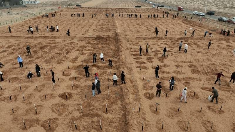 1774409197466151.jpg 7.jpg