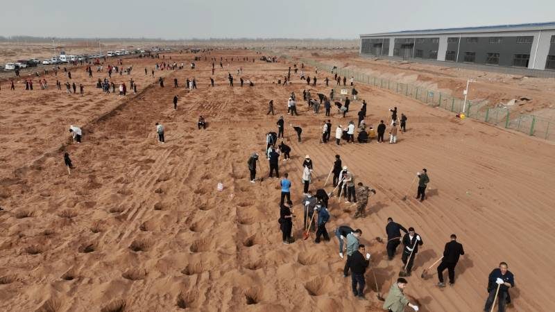 1774409205546175.jpg 6.jpg