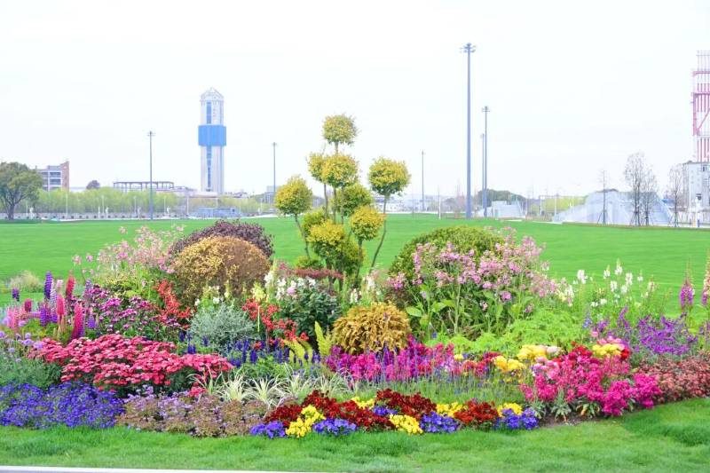 1774415670207928.jpg 4 (1).jpg